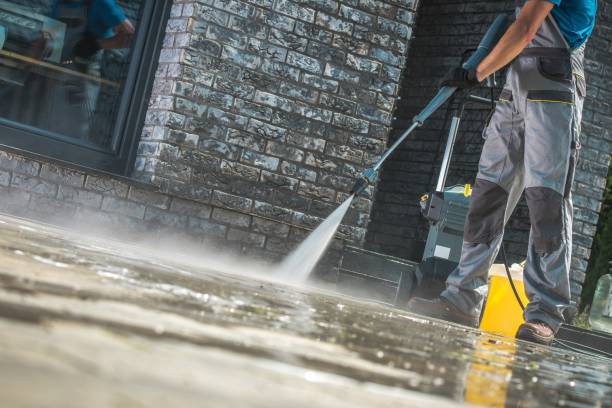  Luckey, OH Pressure Washing Pros